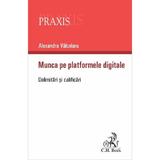 Munca pe platformele digitale. Delimitari si clarificari - Alexandra Valcelaru