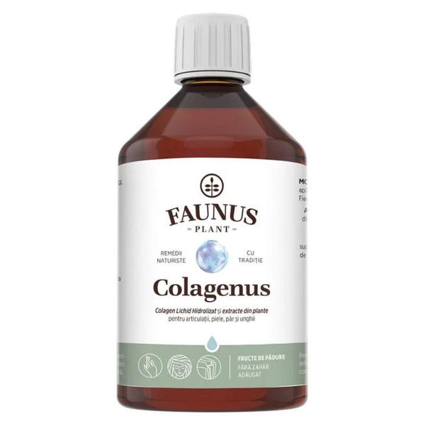 Colagen Lichid Hidrolizat si Extracte din Plante pentru Articulatii si Piele - Faunus Plant Colagenus, 500 ml