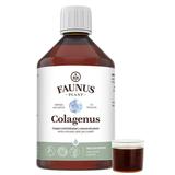 colagen-lichid-hidrolizat-faunus-plant-colagenus-500-ml-1750237424421-2.jpg
