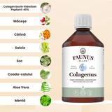 colagen-lichid-hidrolizat-faunus-plant-colagenus-500-ml-1750237430386-1.jpg