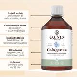 colagen-lichid-hidrolizat-faunus-plant-colagenus-500-ml-1750237430938-2.jpg