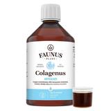 colagen-lichid-hidrolizat-pentru-muschi-si-ligamente-faunus-plant-colagenus-articulatii-500-ml-1750247965959-1.jpg