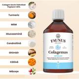 colagen-lichid-hidrolizat-pentru-muschi-si-ligamente-faunus-plant-colagenus-articulatii-500-ml-1750247970849-1.jpg