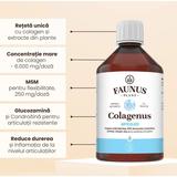 colagen-lichid-hidrolizat-pentru-muschi-si-ligamente-faunus-plant-colagenus-articulatii-500-ml-1750247971423-2.jpg