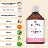 colagen-lichid-hidrolizat-pentru-par-piele-si-unghii-faunus-plant-colagenus-frumusete-500-ml-1750247759123-1.jpg