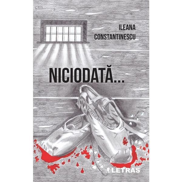 Niciodata - Ileana Constantinescu, editura Letras