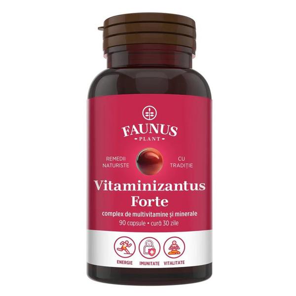 Capsule cu Multivitamine si Minerale Vitaminizantus Forte - Faunus Plant, 90 capsule