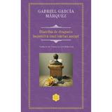 Diatriba de dragoste impotriva unui barbat asezat - Gabriel Garcia Marquez, editura Rao