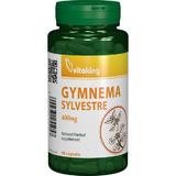 SHORT LIFE - Gymnema Sylvestre 400 MG Vitaking, 90 capsule