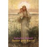 Hoinar prin Raiuri Vol.1 - Coriolan Babeti, editura Vremea