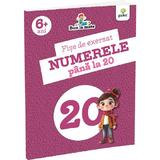 Fise de exersat numerele pana la 20. Bun la mate 6 ani+, editura Gama