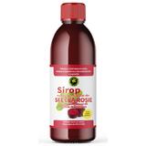 Sirop de Sfecla Rosie cu Indulcitor Natural Stevia Rebaudiana (fara zahar) - Hypericum, 500 ml