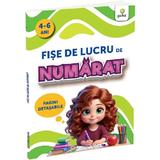 Fise de Lucru de Numarat 4 - 6 Ani