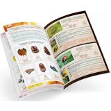 set-educativ-terrarium-5.jpg