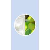 balsam-pentru-par-neted-moale-si-disciplinat-milk-shake-no-frizz-alowed-perfecting-conditioner-300-ml-1752151381041-1.jpg