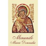 Minunile Maicii Domnului Ed.2