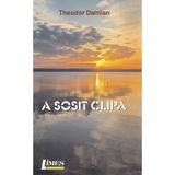 A sosit clipa - Theodor Damian, editura Limes
