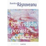 Splendida poveste accident - Dumitra Rasnoveanu, editura Cartier