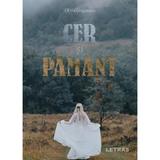Cer si pamant - Olivia Grigorescu, editura Letras