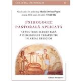 Psihologie pastorala aplicata. Structura elementara a demersului terapeutic in areal religios - Maria Dorina Pasca, Teofil Tia, editura Renasterea
