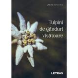 Tulpini de ganduri visatoare - Corina Stricescu, editura Letras