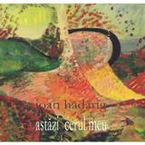 Astazi, cerul meu - Ioan Hadarig, editura Vinea