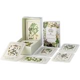 set-80-carduri-ghid-practic-plante-medicinale-din-flora-romaniei-raluca-olaru-editura-hodaia-2.jpg