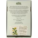 set-80-carduri-ghid-practic-plante-medicinale-din-flora-romaniei-raluca-olaru-editura-hodaia-3.jpg
