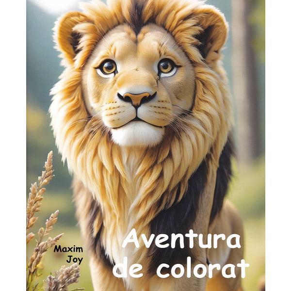 Aceasta este imaginea corespunzatoare acestui obiect