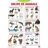 Plansa: Descopera! Grupe de animale, editura Litera