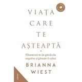 Viata care te asteapta - Brianna Wiest, editura Nemira