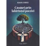 Cautari prin labirintul poeziei - Ioan Ursu, editura Scrisul Romanesc