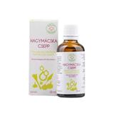 Picaturi cu extract de ceapa si usturoi Balint, 50 ml