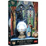 Puzzle 1000. Ucenicul vrajitoarei