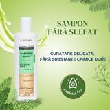 sampon-professional-cosmaline-fara-sulfati-pentru-toate-tipurile-de-par-500-ml-4.jpg