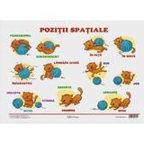 Plansa. Pozitii spatiale, editura Erc Press