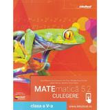 Matematica 5.2 - Clasa 5 - Culegere Vol.2 - David Brumar, Ion Cicu, Mihaela Anca Coroian, Liana Olarasu, Razvan Ceuca, Ioana Iacob, Raluca Ciurcea, Silvia Mares, editura Intuitext