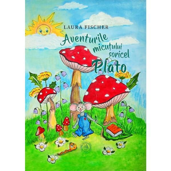 Aceasta este imaginea corespunzatoare acestui obiect