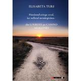 Pamantul atinge cerul, iar sufletul nemarginirea - din Lourdes pe Camino  Aragones - Elisabeta Turi, editura Eikon