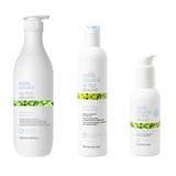 Pachet pentru Par Neted si Control Anti-Frizz - Milk Shake No Frizz Allowed: Sampon, 1000 ml + Balsam, 300 ml + Spray, 100 ml