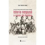 Istoria nespusa a romilor din Romania - Ioan Valentin Negoi