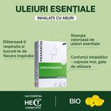 capsule-inhalatii-15-x-monodoza-uleiuri-esentiale-100-bio-alchida-pranarom-inhalation-capsules-aromaforce-1-pachet-1758786485290-2.jpg