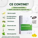 capsule-inhalatii-15-x-monodoza-uleiuri-esentiale-100-bio-alchida-pranarom-inhalation-capsules-aromaforce-1-pachet-1758786490357-1.jpg