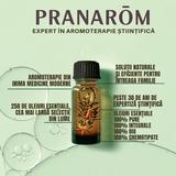 zen-mix-de-uleiuri-esentiale-bio-alchida-pranarom-les-diffusables-zen-30-ml-1758873392157-1.jpg