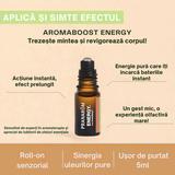 roll-on-bio-pentru-energie-pranarom-aromaboost-roll-on-energy-5-ml-1758893712491-1.jpg