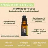 roll-on-focus-bio-pranarom-aromaboost-focus-roll-on-ndash-organic-concentration-5-ml-1759126979937-1.jpg