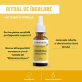 ulei-de-imortele-bio-pranarom-huile-vegetale-immortelle-bio-30-ml-1759148218624-2.jpg