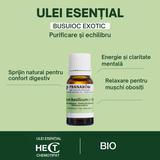 ulei-esential-de-busuioc-exotic-bio-pranarom-huile-essentielle-basilic-exotique-bio-10-ml-1759320991223-2.jpg