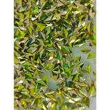 cristale-unghii-swarovski-global-fashion-romb-green-gold-2.jpg