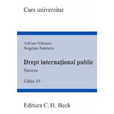 Drept international public. Sinteze. Curs universitar Ed.10 - Adrian Nastase, Bogdan Aurescu, editura C.h. Beck
